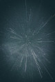 Uploaded Image